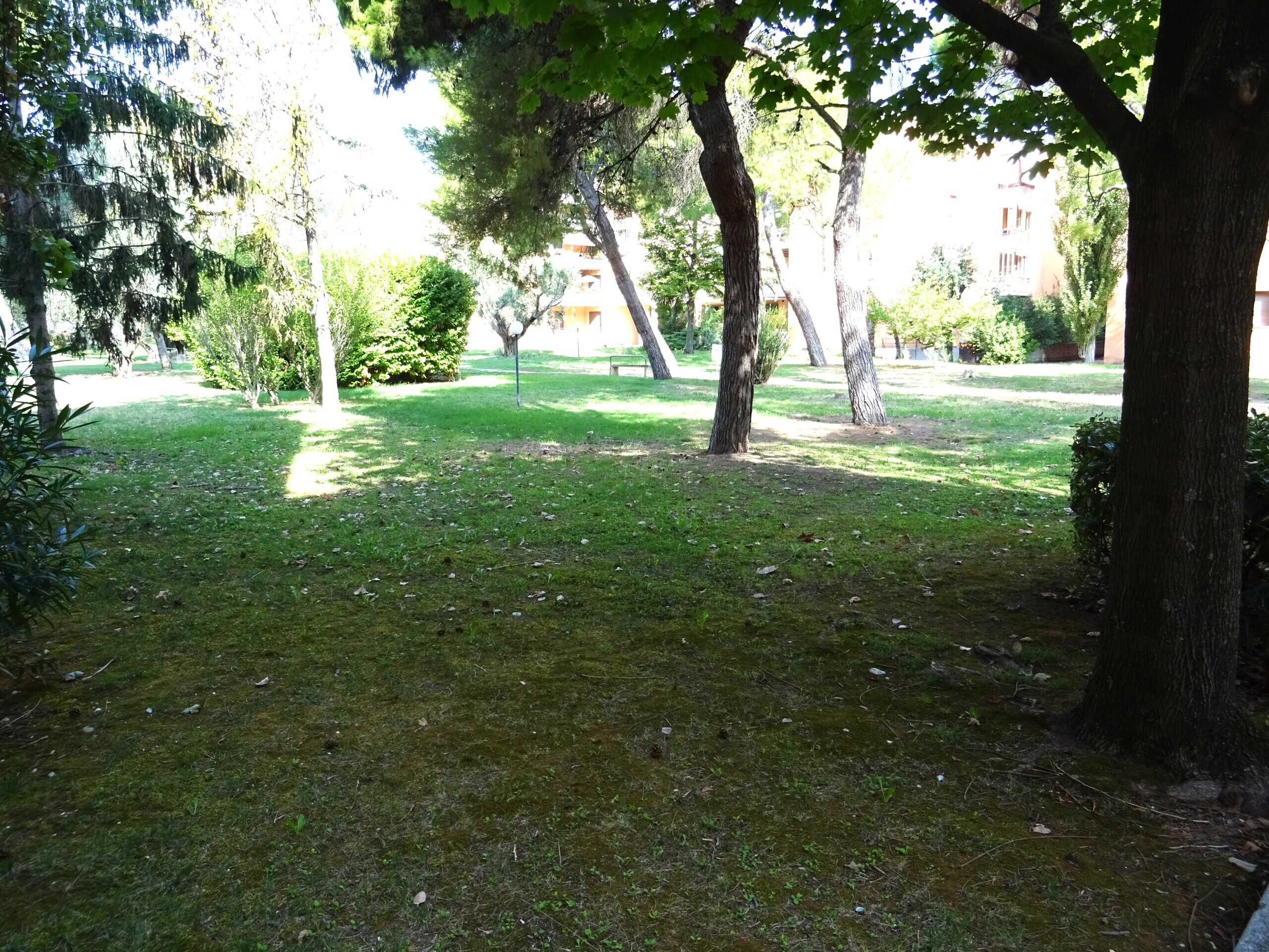  - foto 19