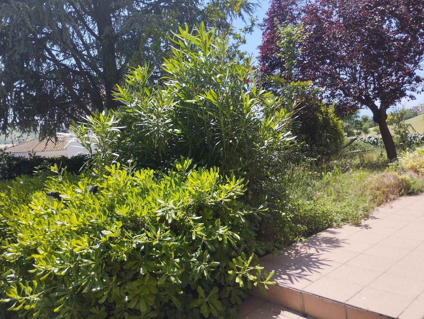  - foto 5