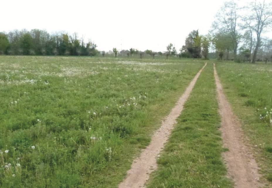  - foto 2