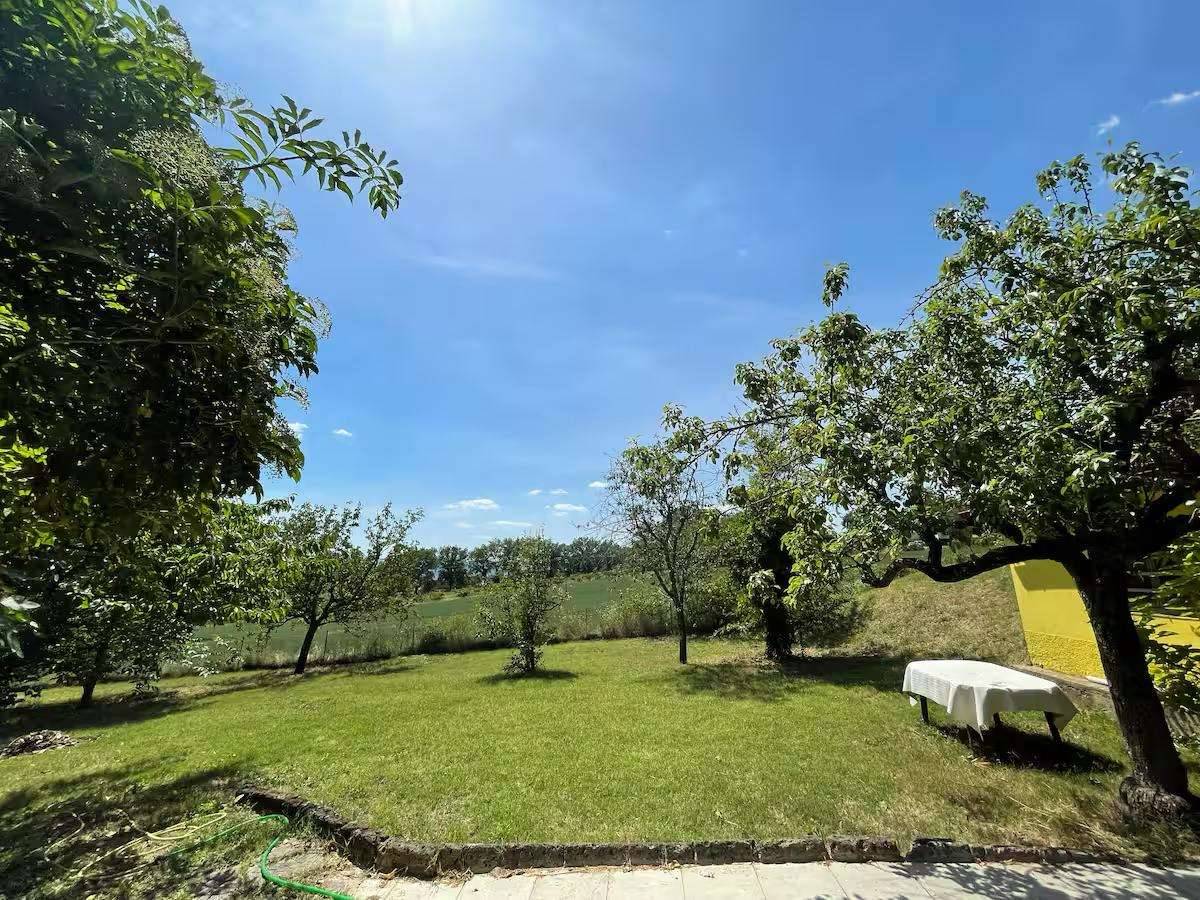  - foto 3