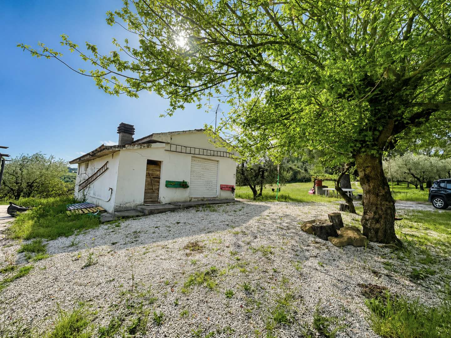 - foto 4