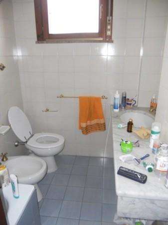  - foto 11