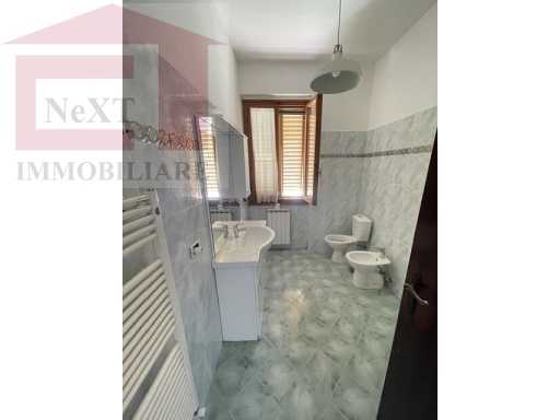  - foto 15