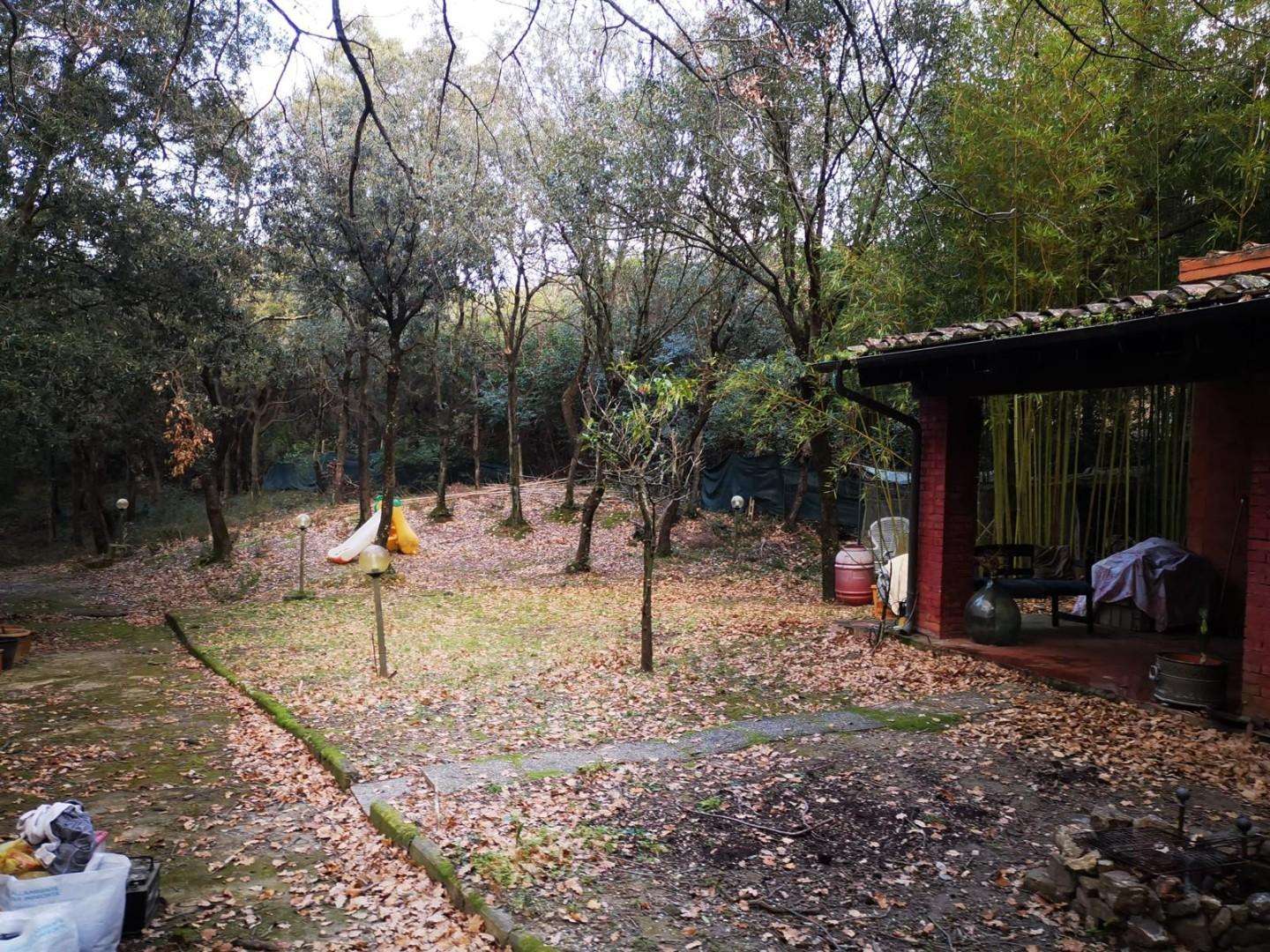  - foto 13