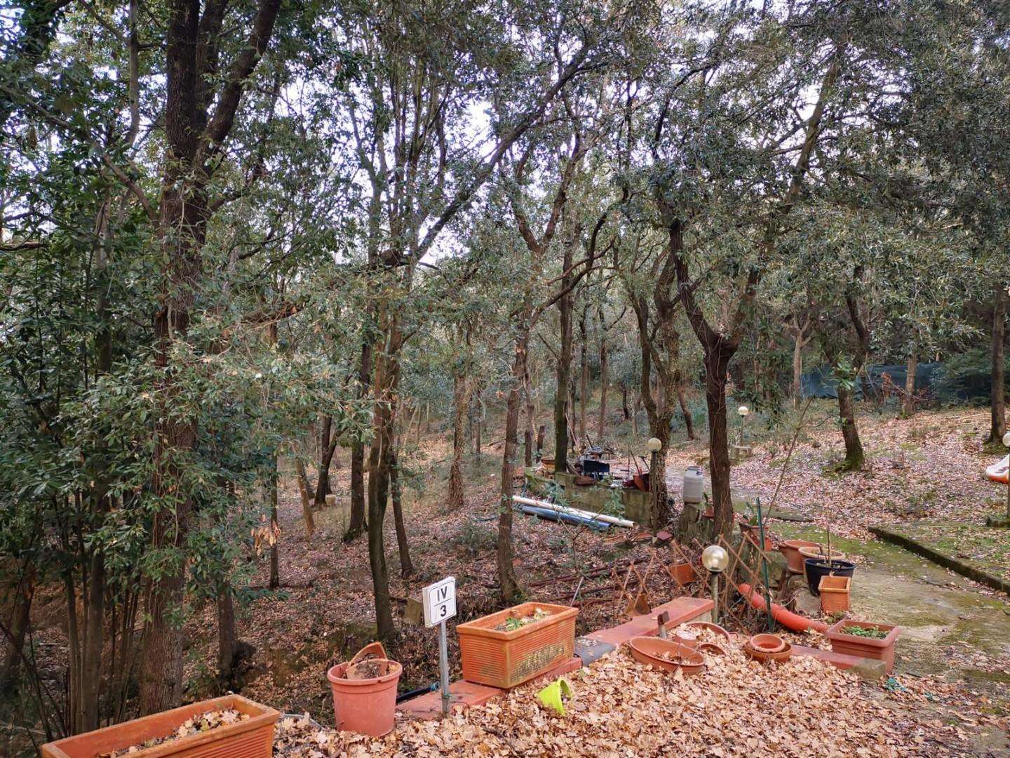  - foto 14