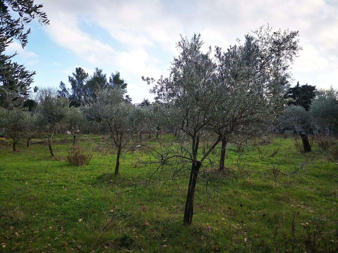  - foto 15