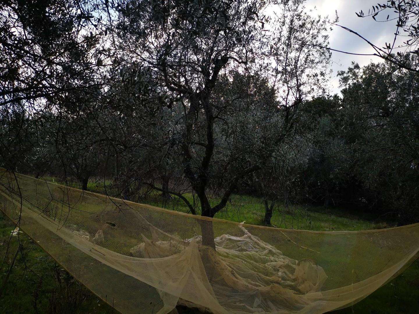  - foto 16