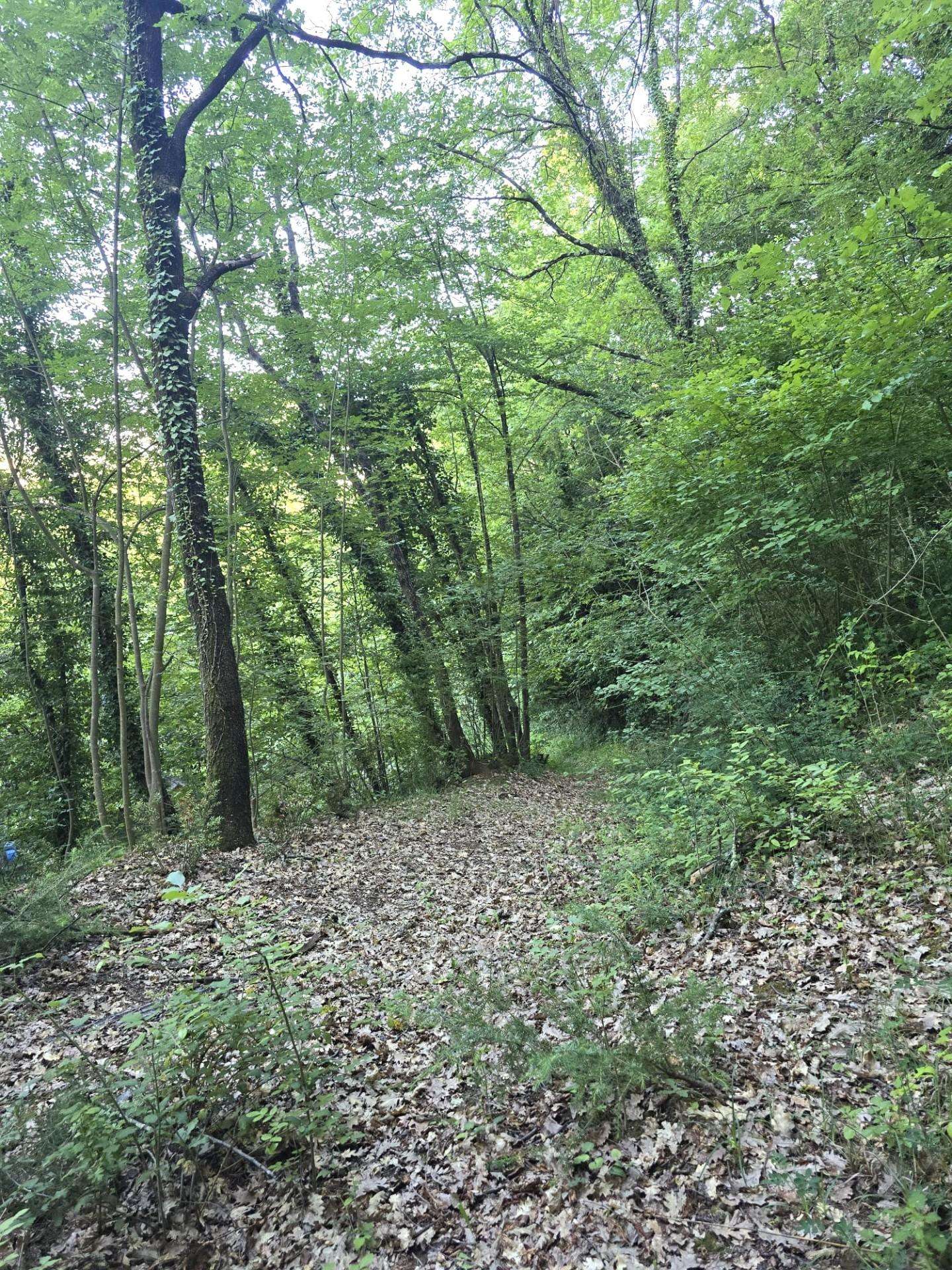  - foto 13