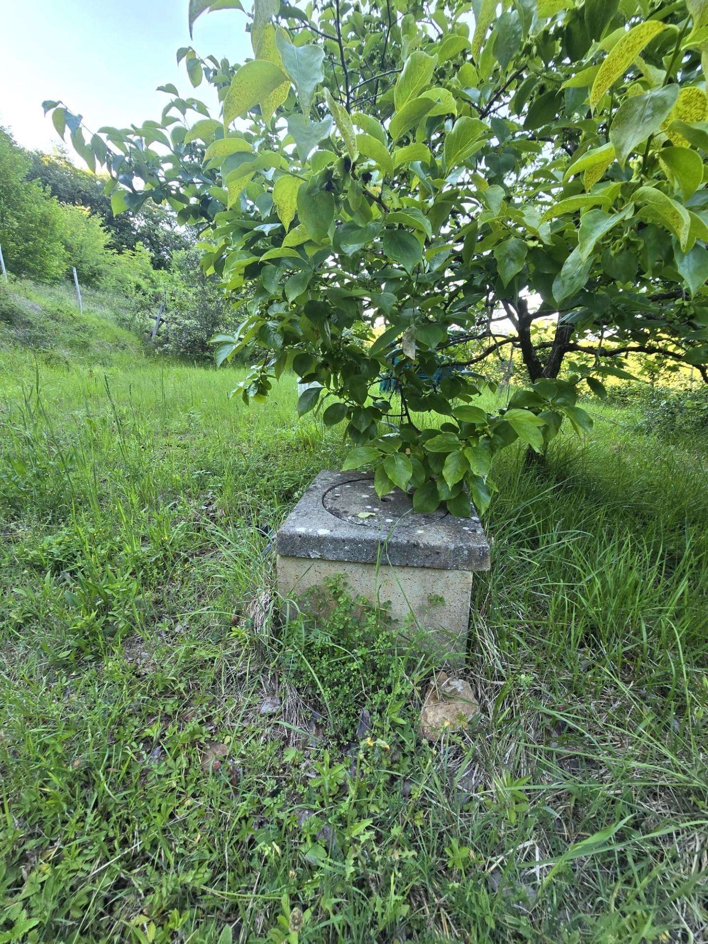  - foto 6