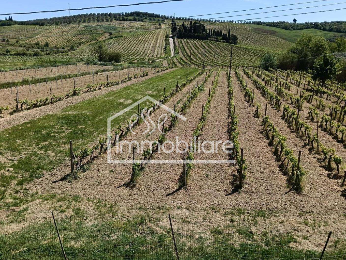  - foto 32