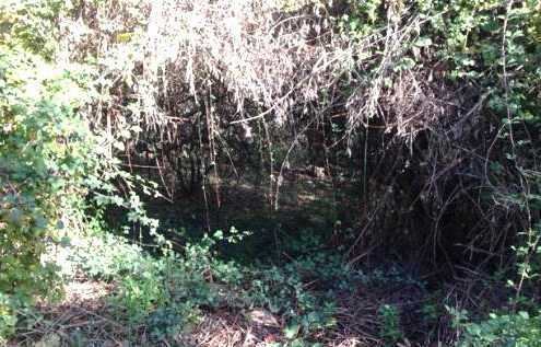  - foto 12