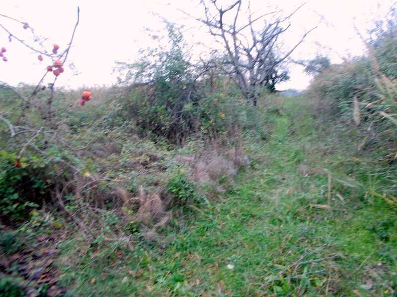  - foto 16