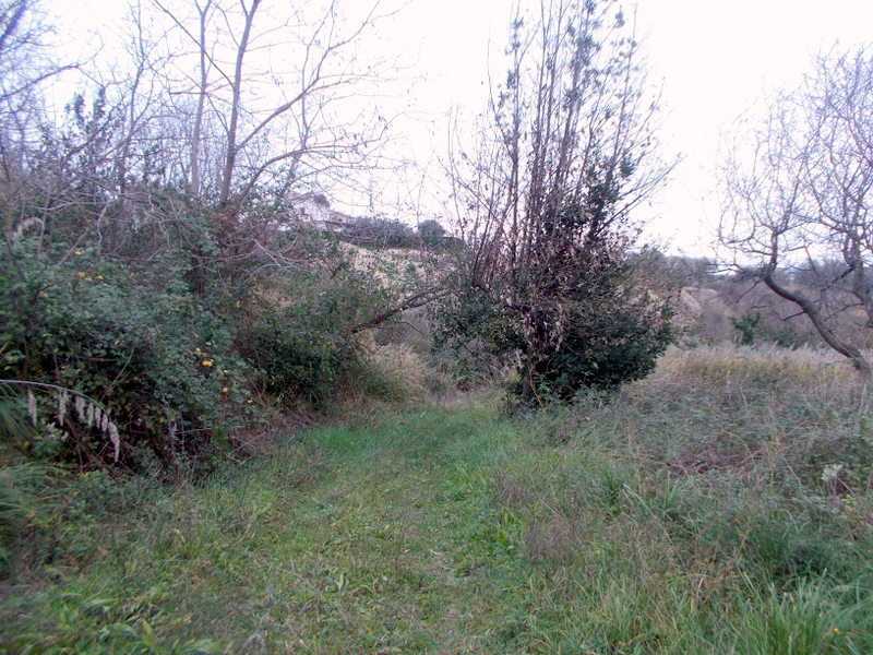  - foto 17