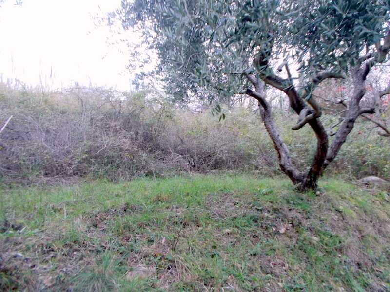  - foto 18
