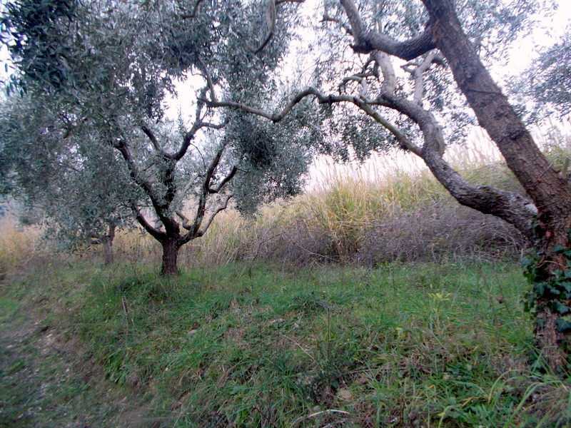  - foto 19