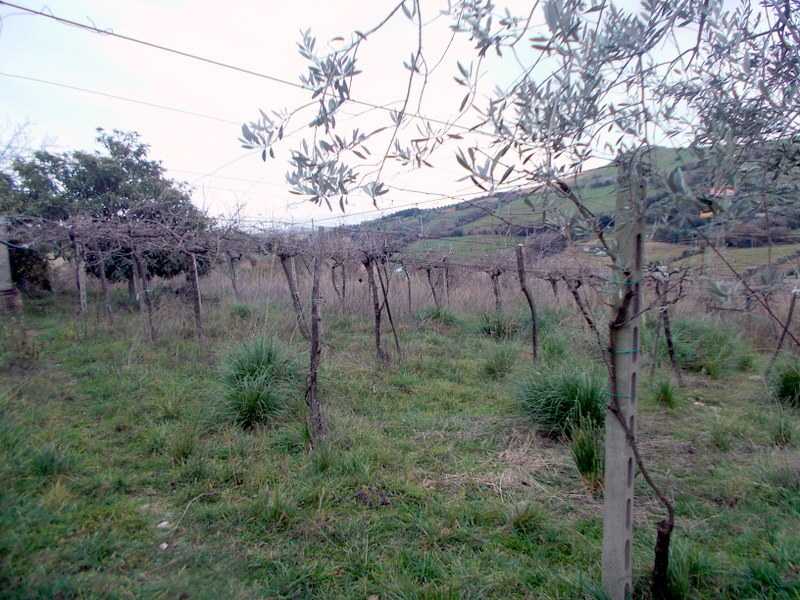  - foto 21