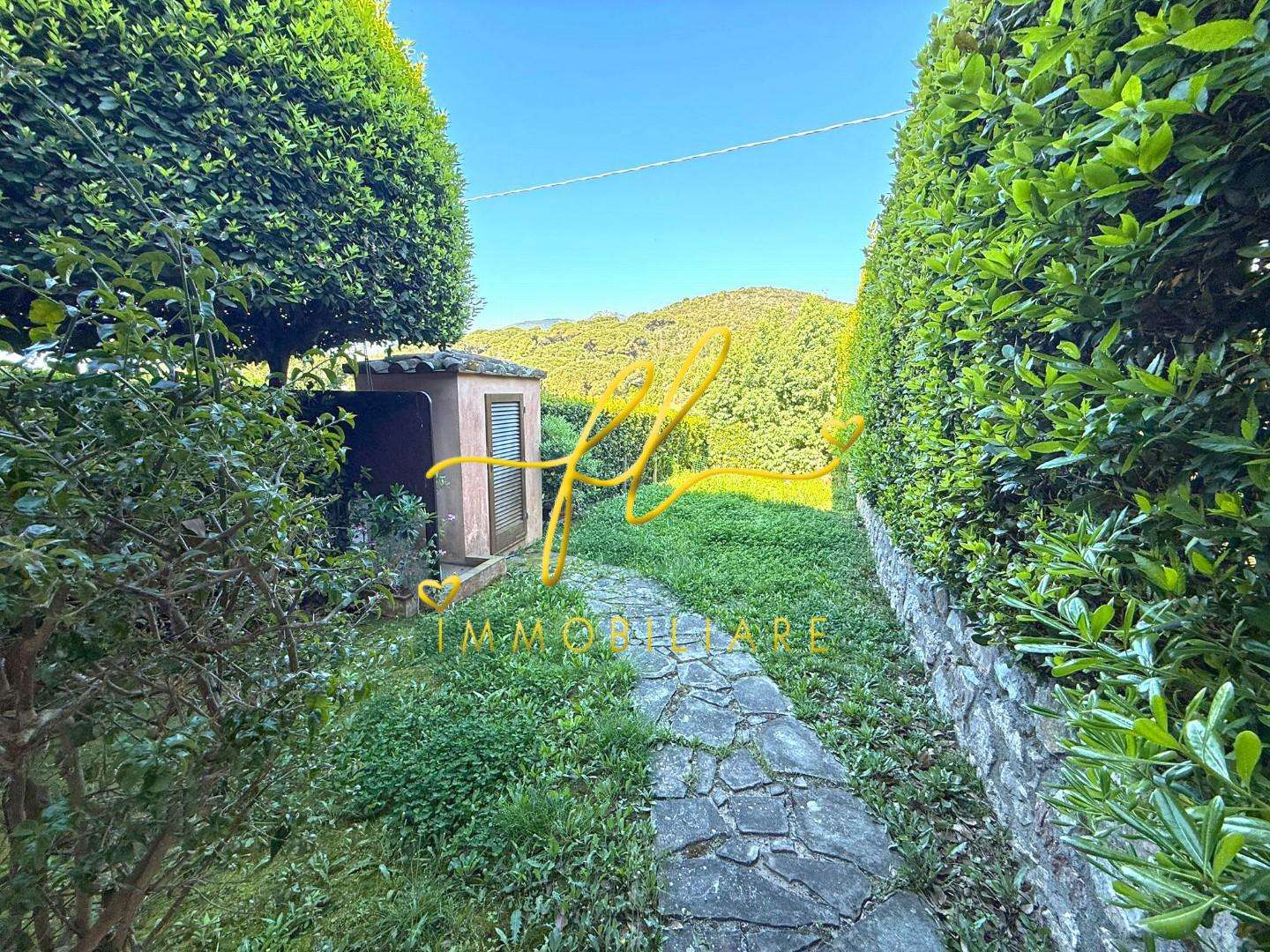  - foto 39