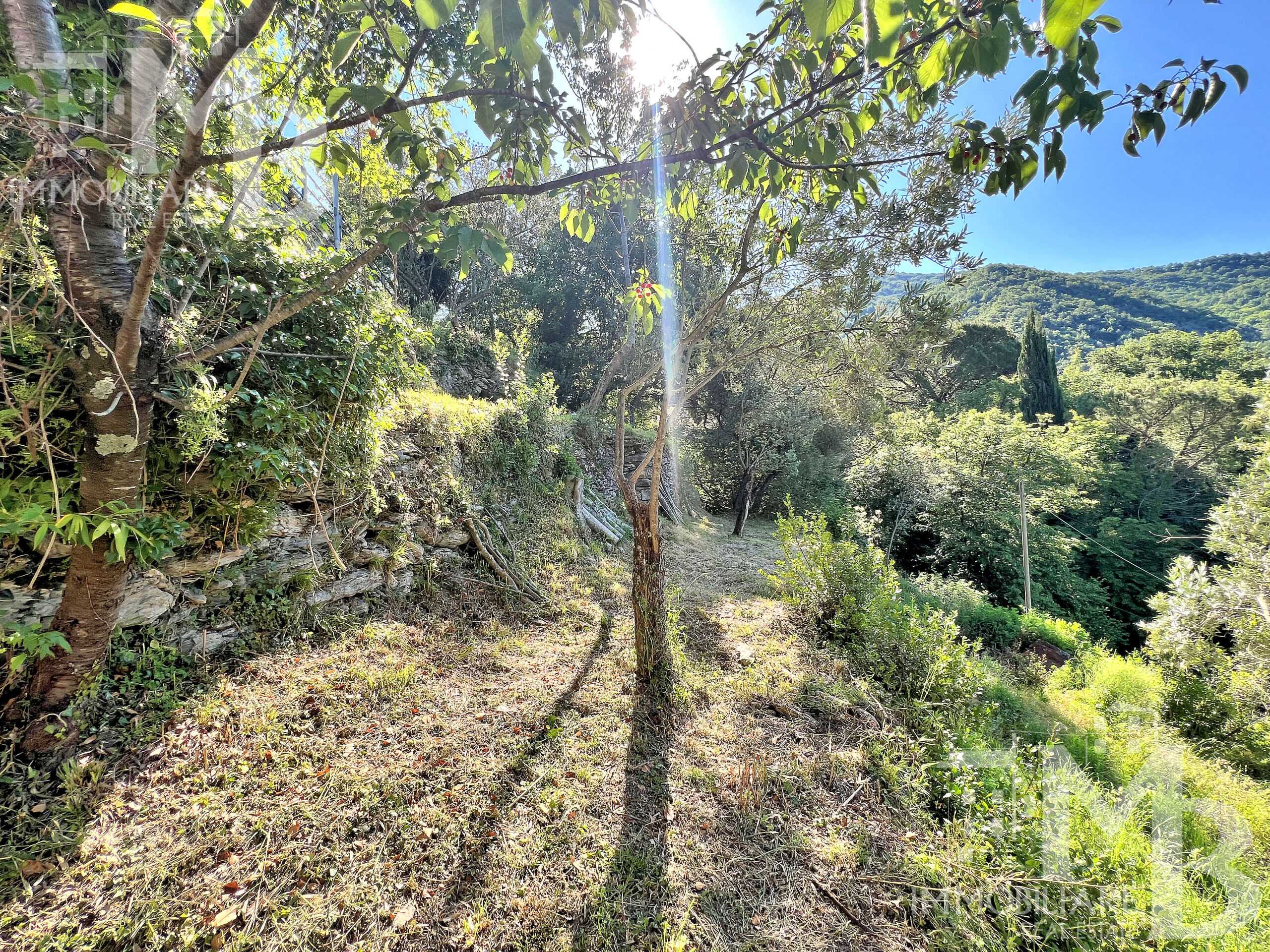  - foto 30