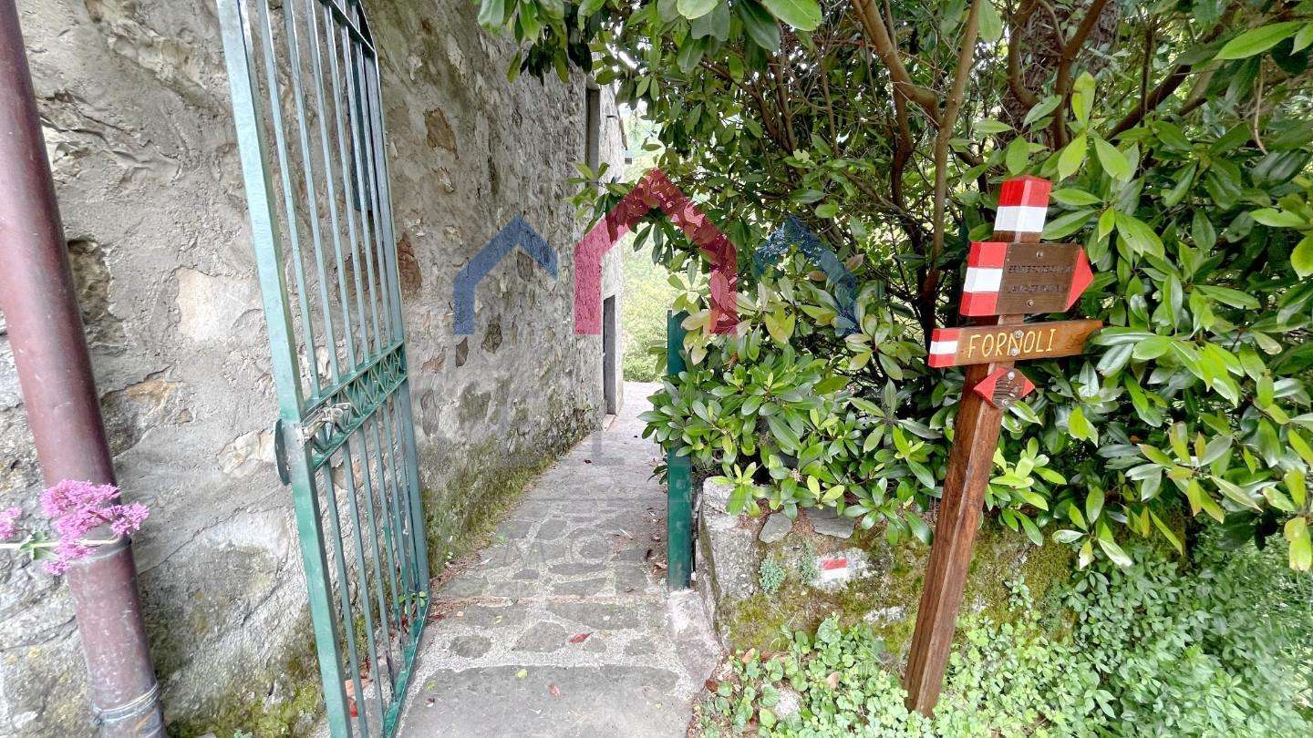  - foto 36