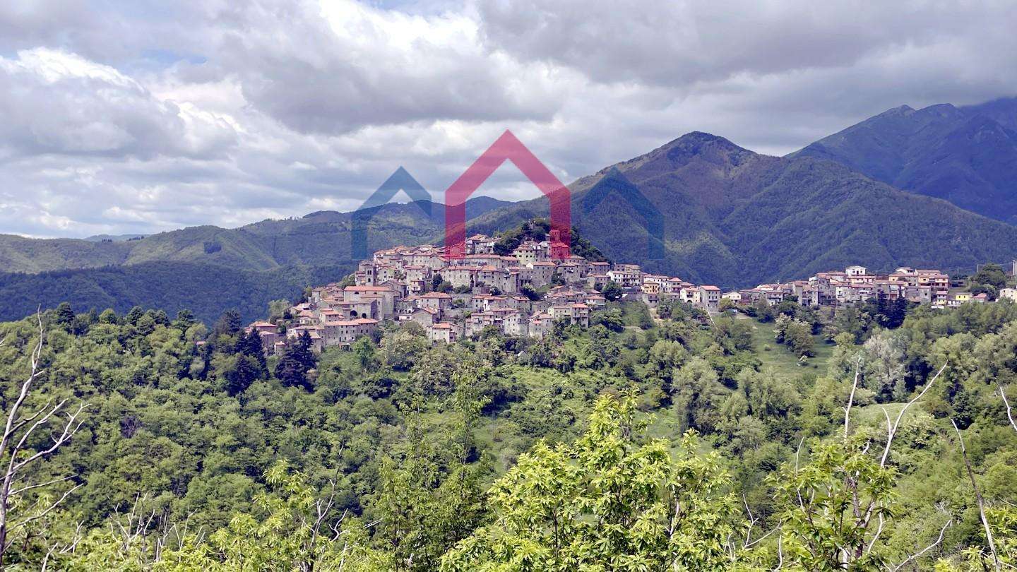  - foto 53