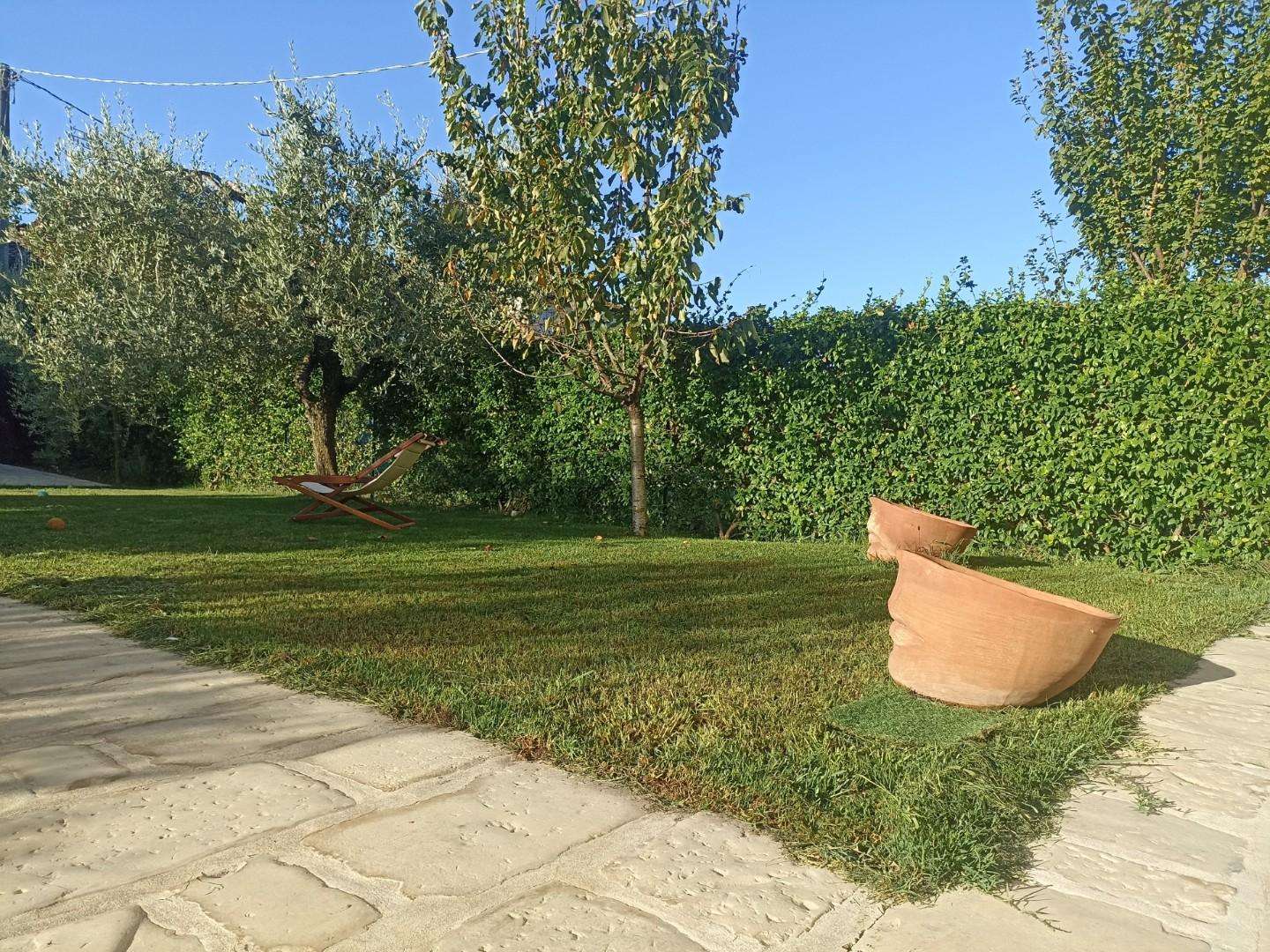  - foto 11