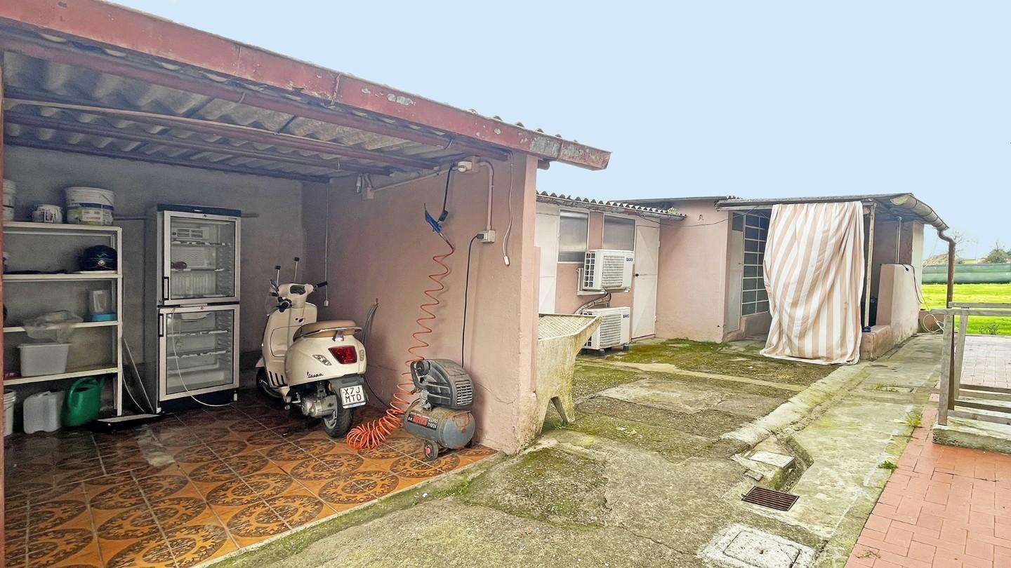  - foto 61