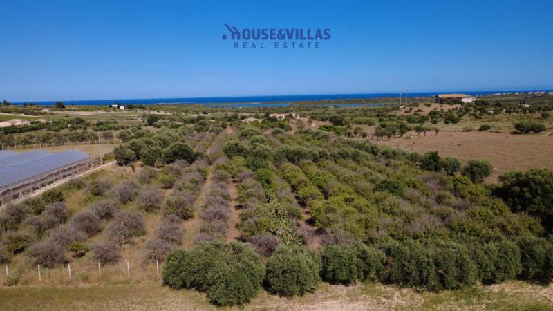 Terreno agricolo San Lorenzo, Noto