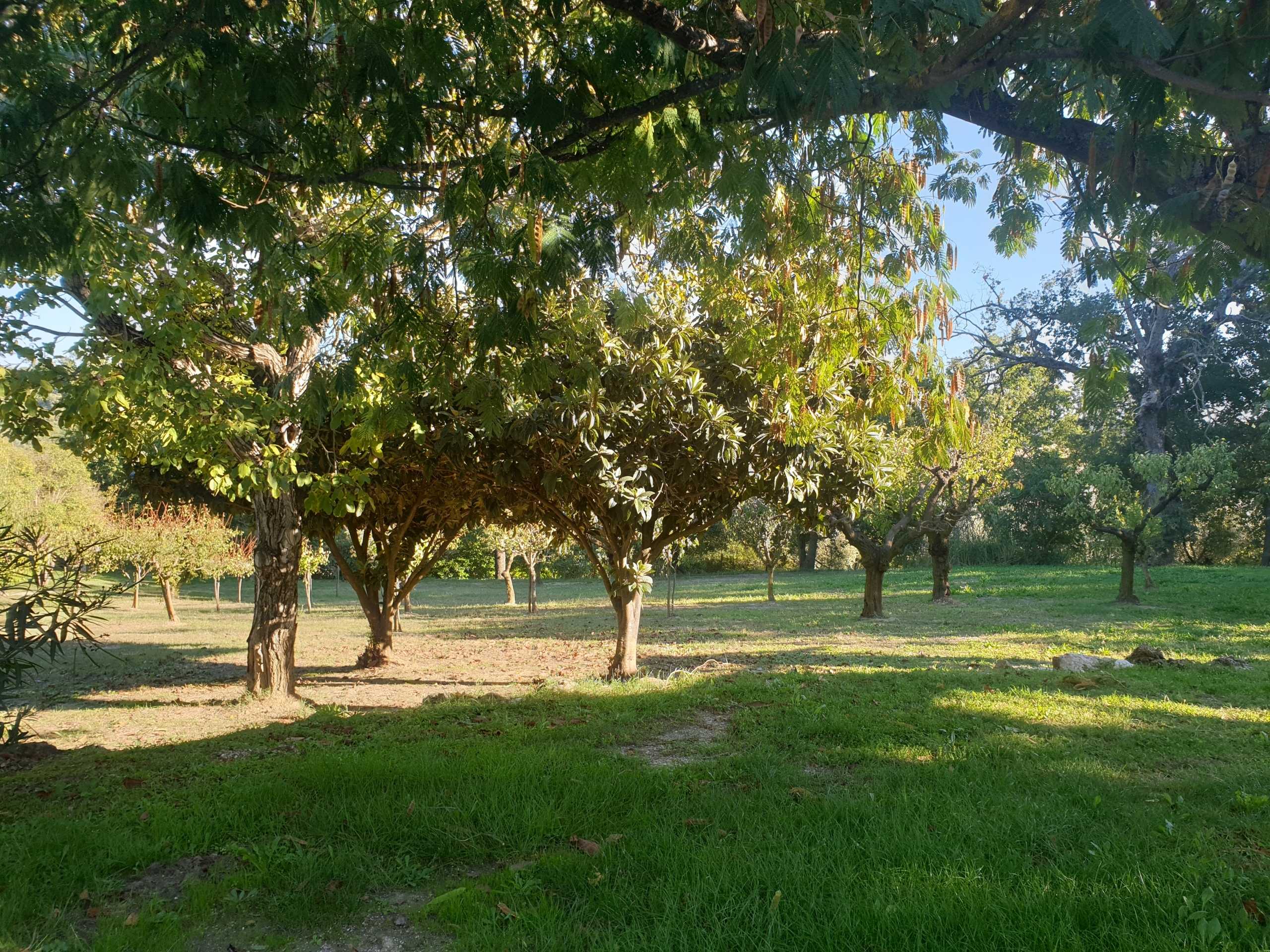  - foto 42