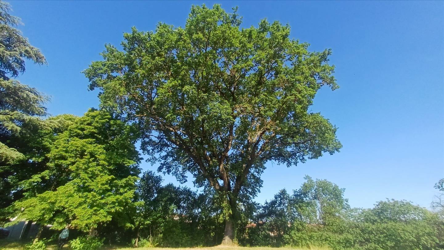 - foto 6
