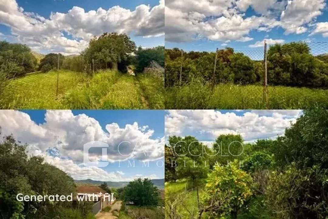  - foto 16