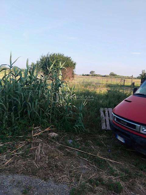  - foto 15