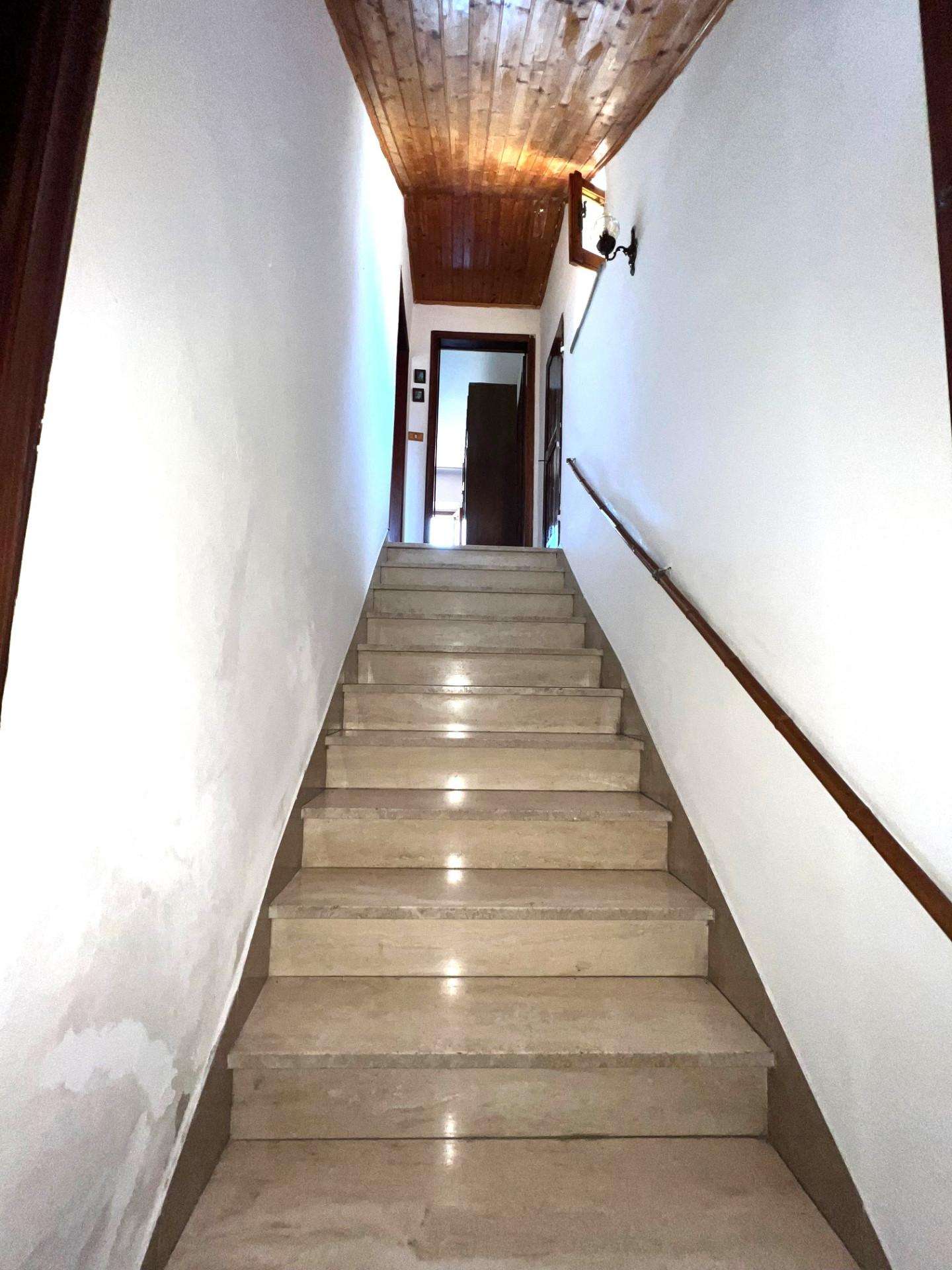  - foto 21
