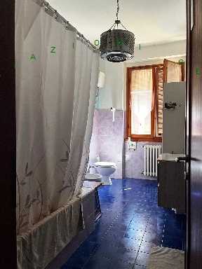  - foto 22