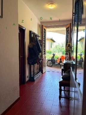  - foto 31