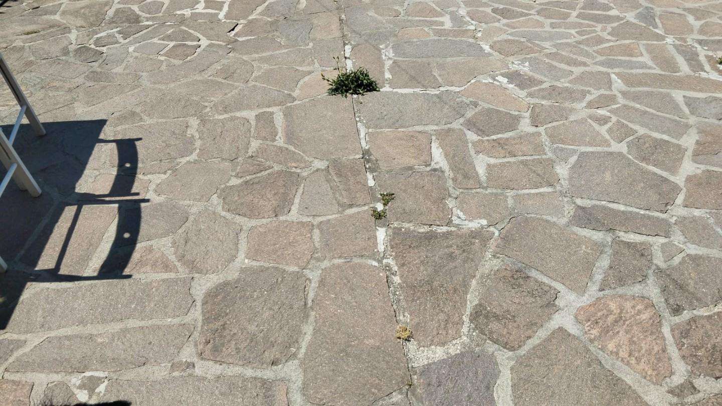  - foto 4