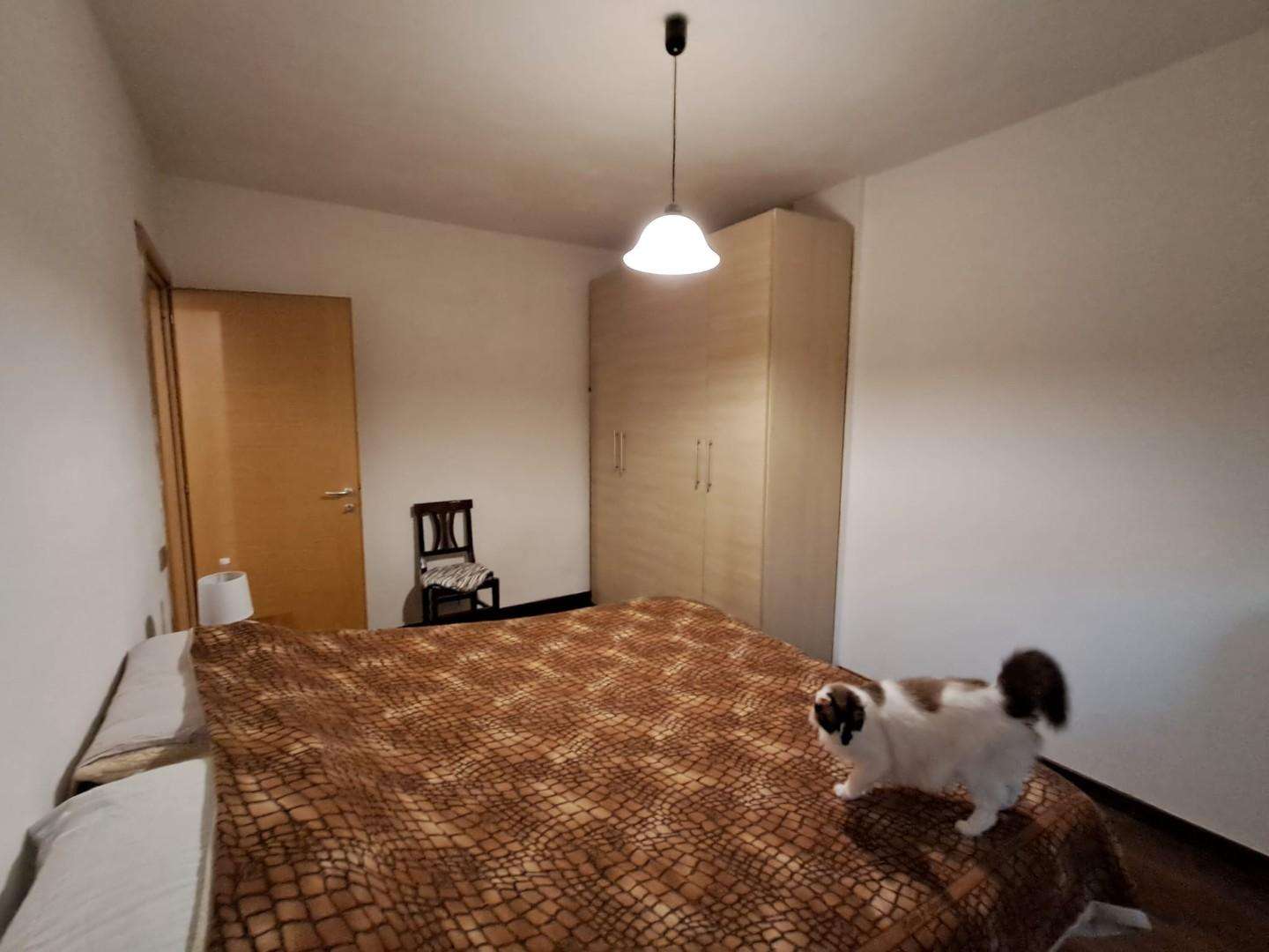  - foto 18