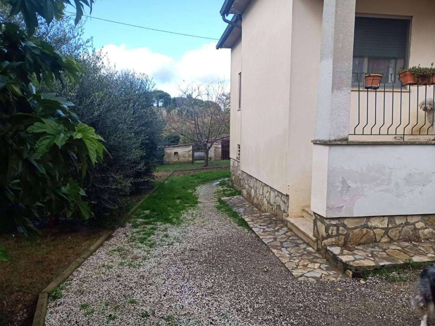  - foto 11