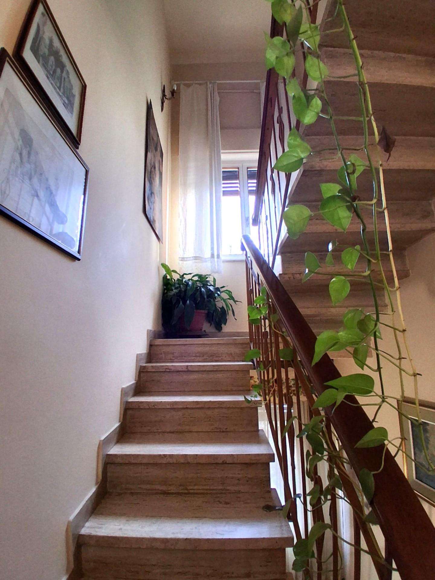  - foto 23