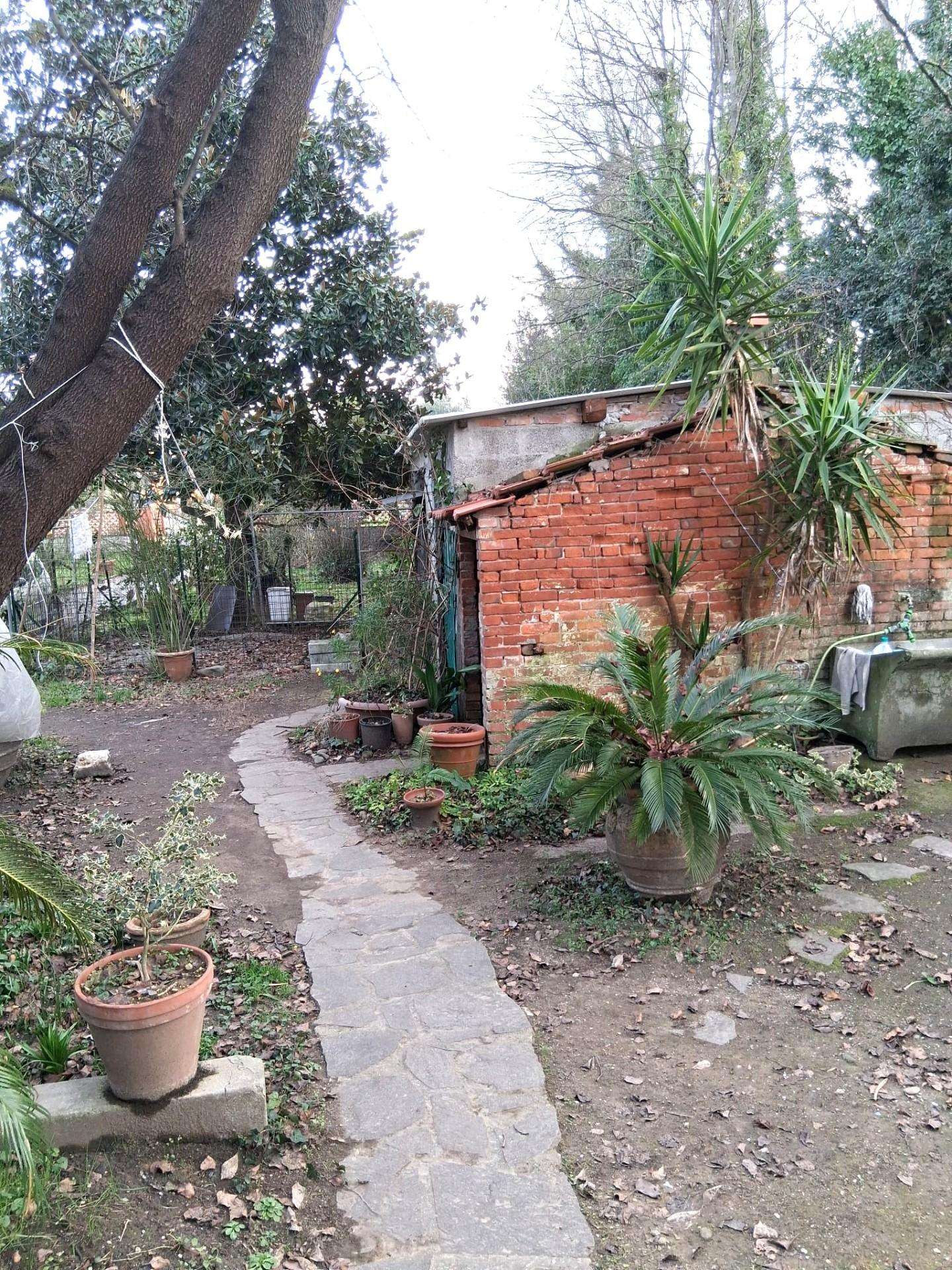  - foto 7