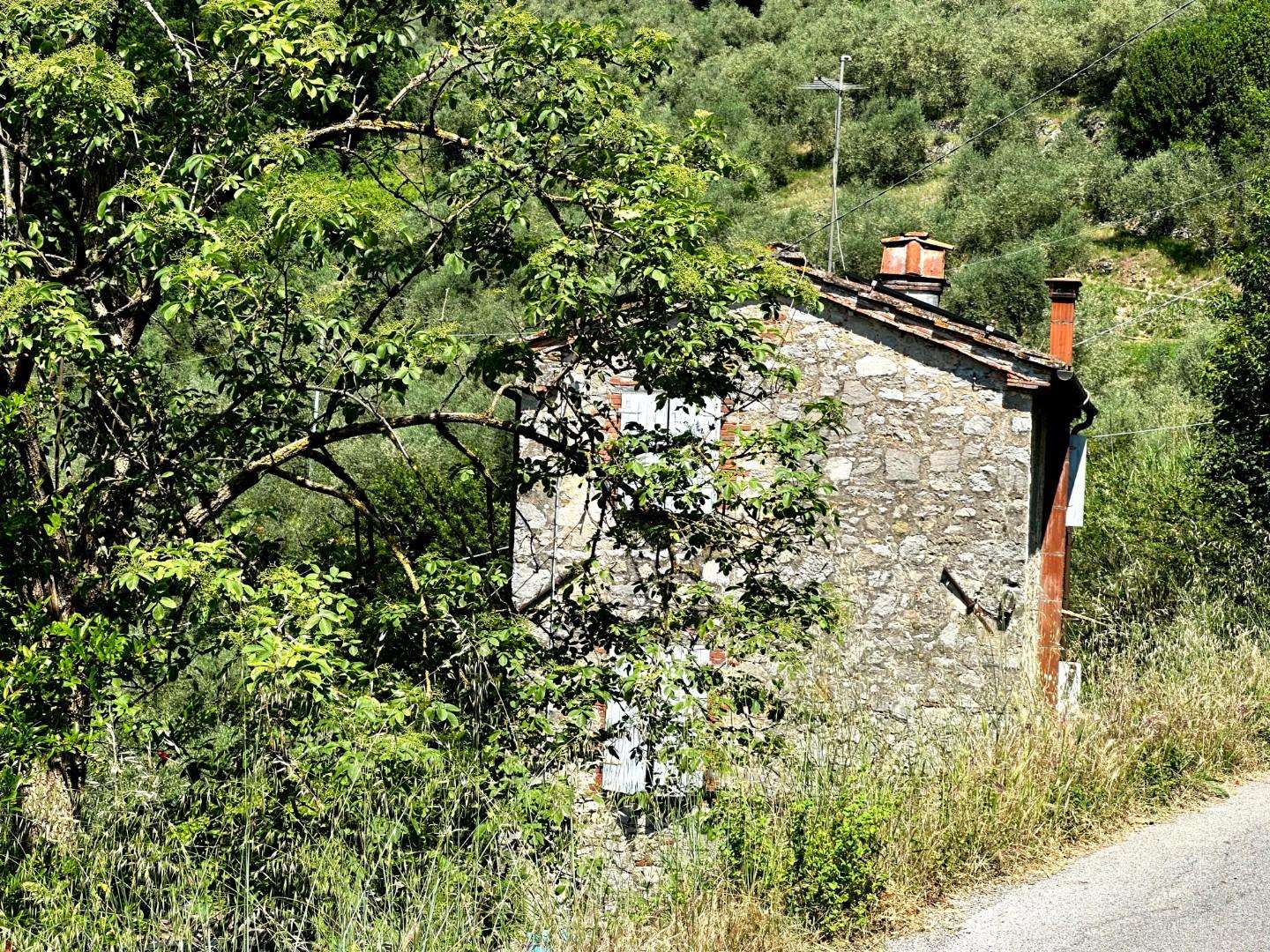  - foto 26