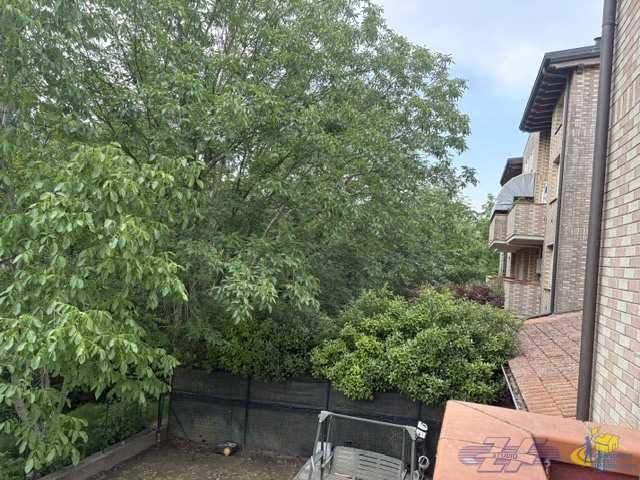  - foto 15