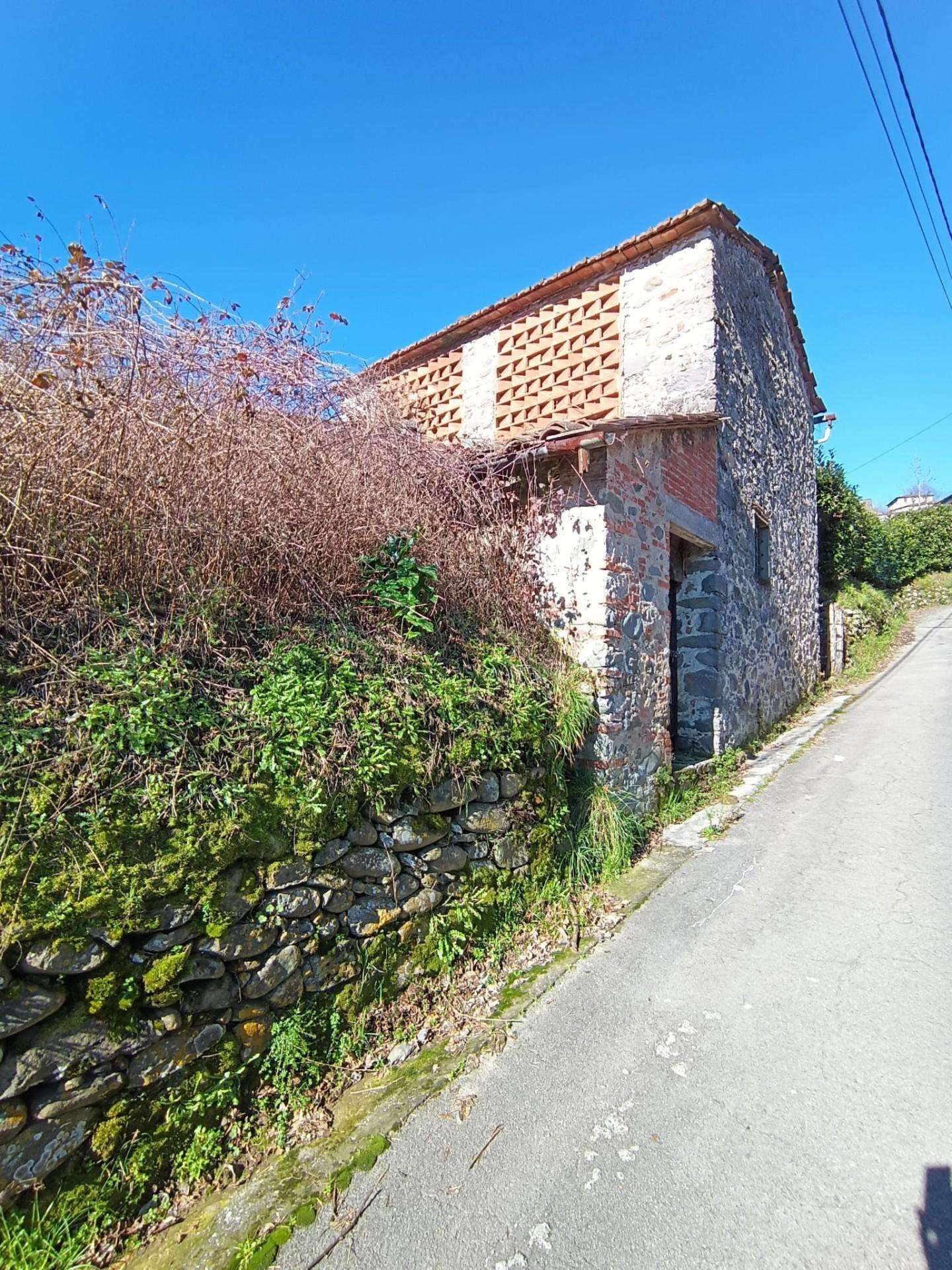 Azienda agricola Via della Casetta,, Coreglia Antelminelli