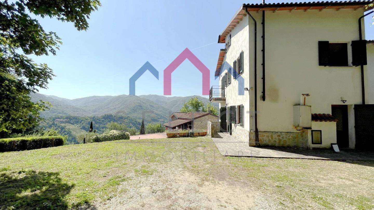  - foto 61
