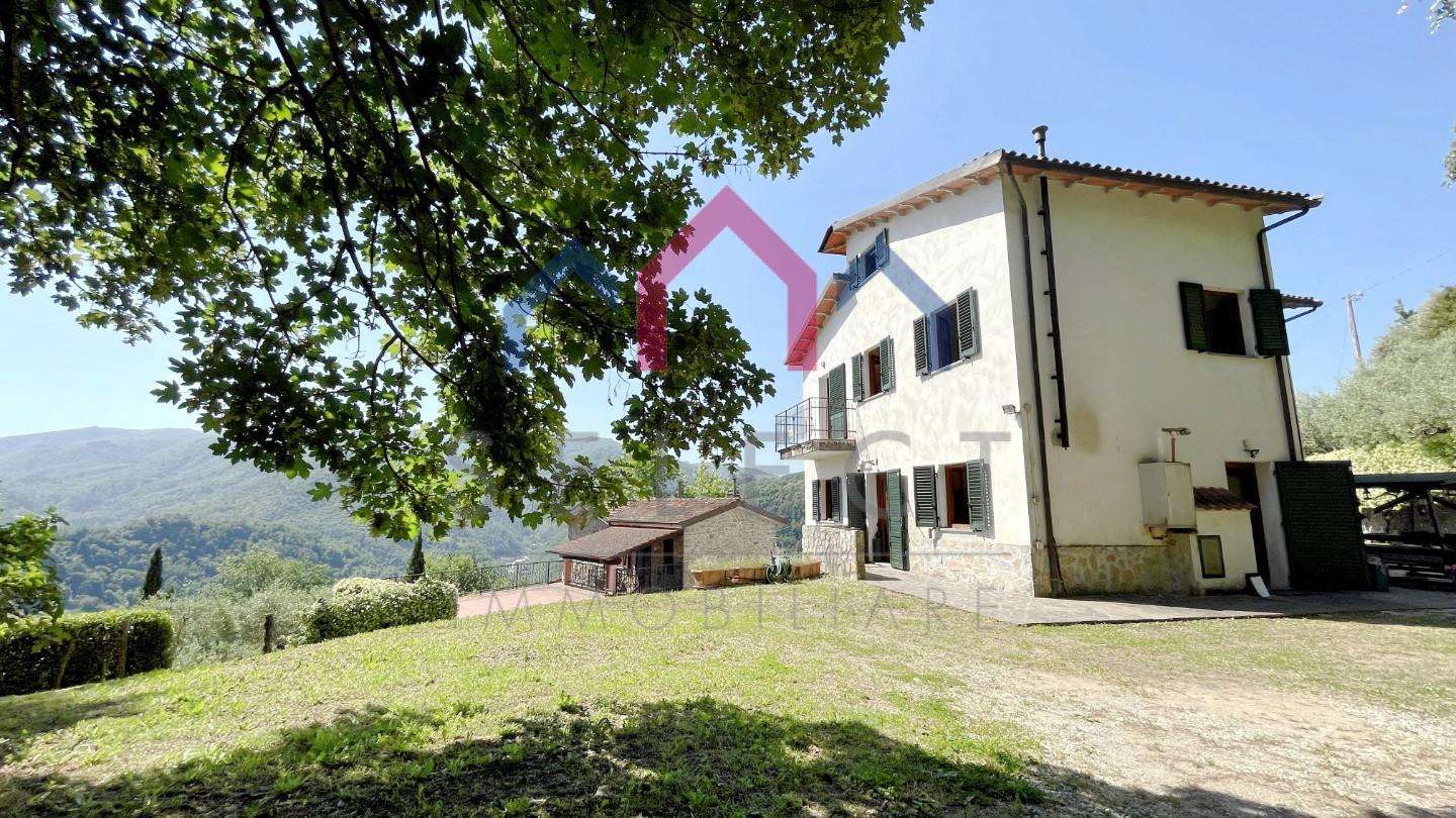  - foto 64