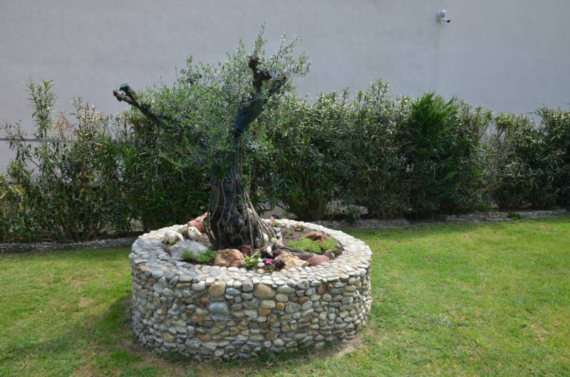  - foto 7