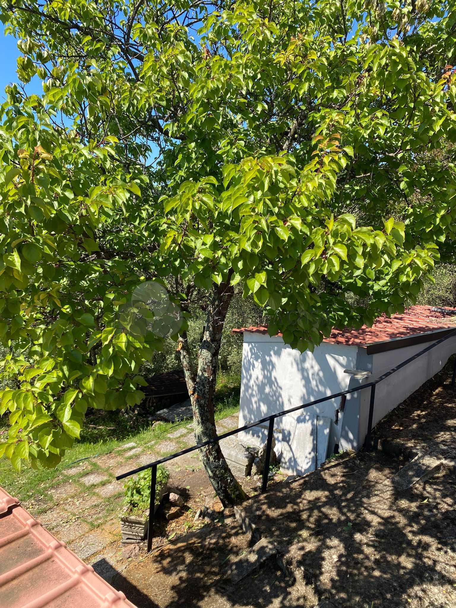  - foto 47