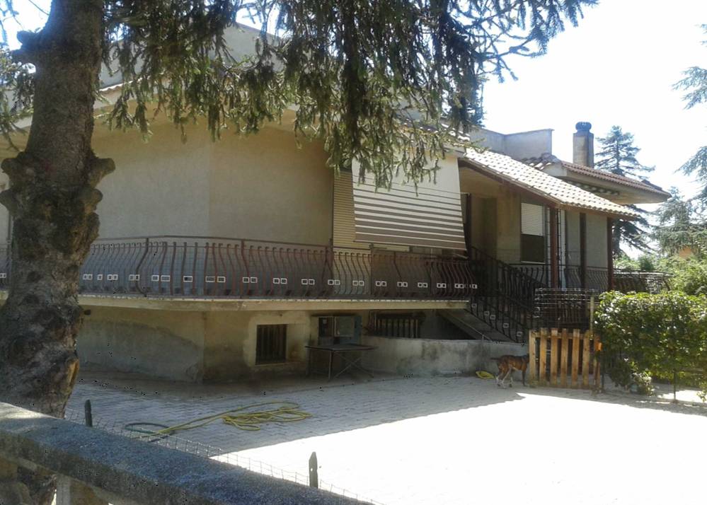  - foto 2