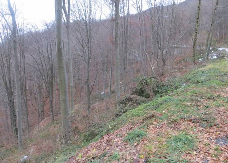  - foto 2