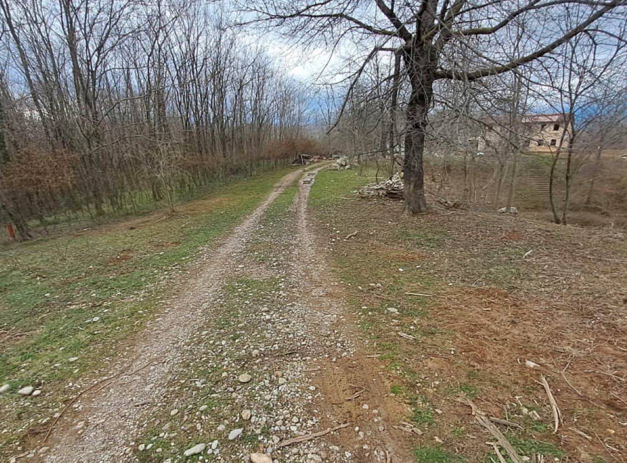  - foto 5