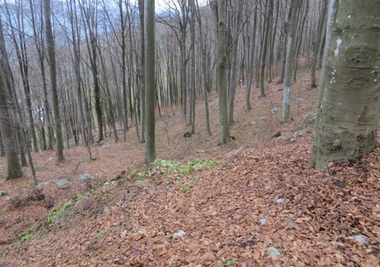  - foto 3